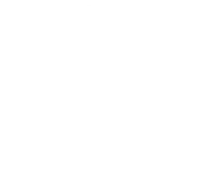 alfa Logo